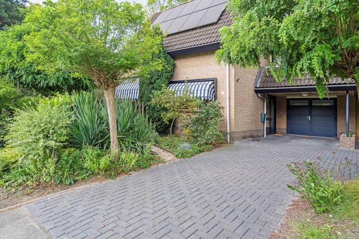 Foto 12 van Petrus Aemiliusstraat 15