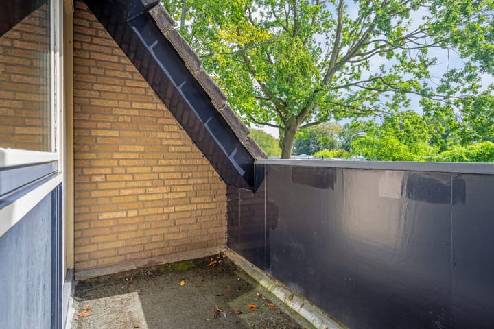 Foto 39 van Petrus Aemiliusstraat 15