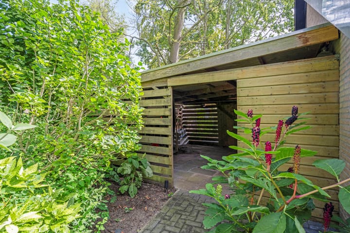 Foto 65 van Petrus Aemiliusstraat 15