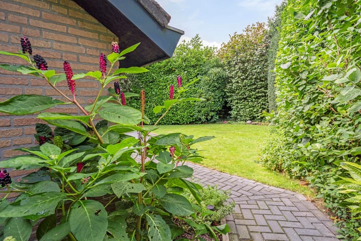 Foto 66 van Petrus Aemiliusstraat 15