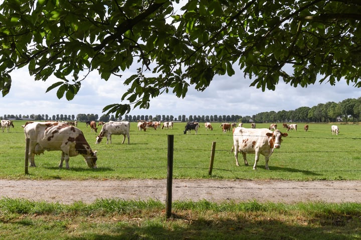 Bekijk foto 30 van Oosterlandweg 27