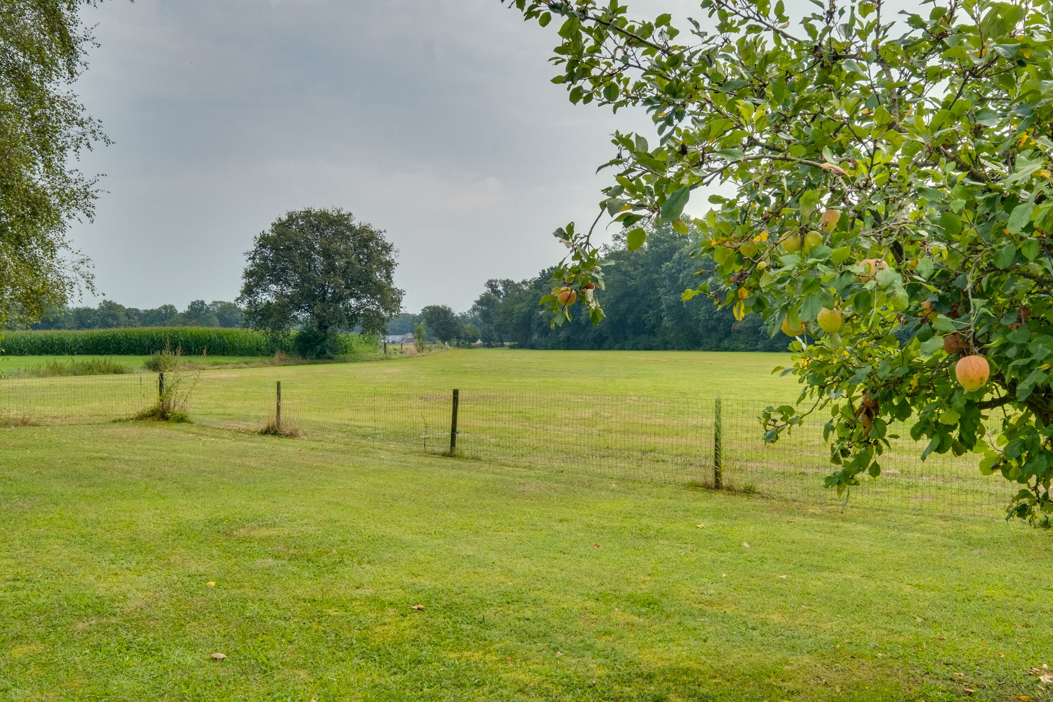 Foto 45 van Ooldselaan 14