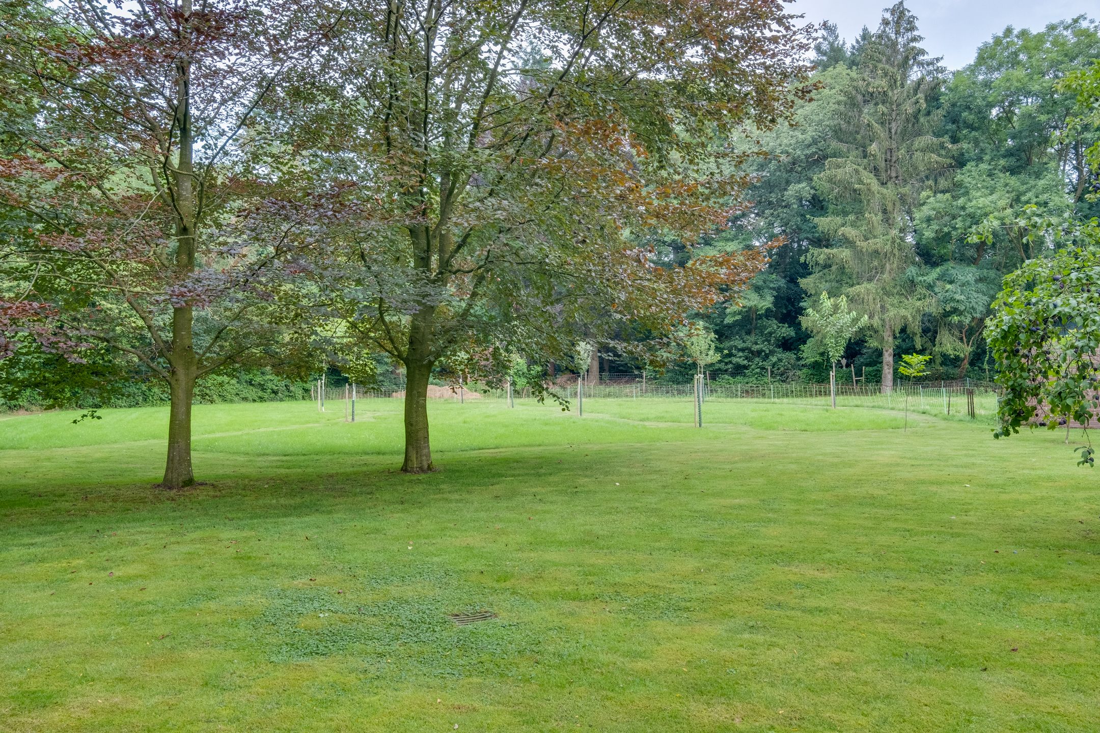 Foto 48 van Ooldselaan 14