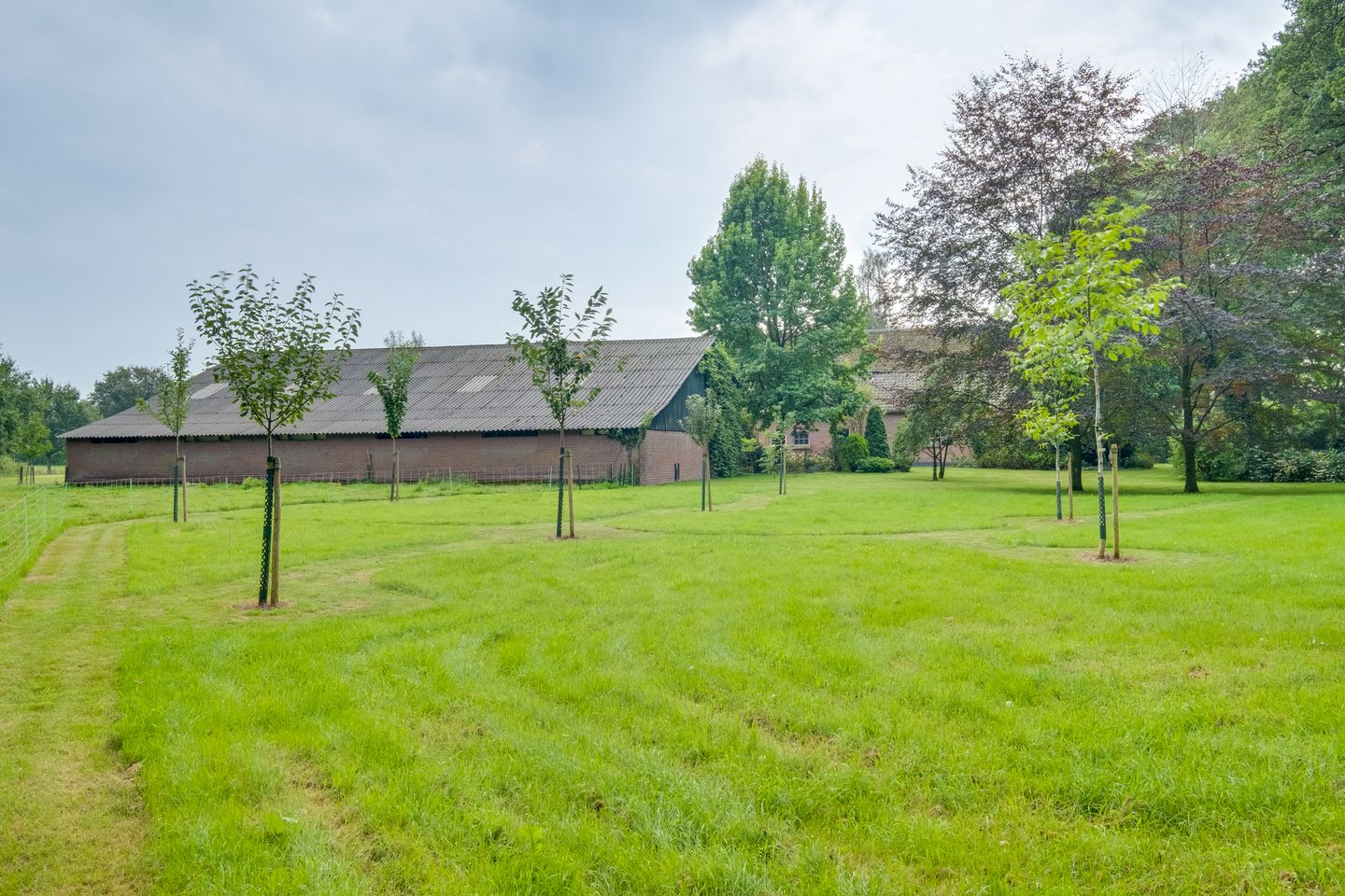 Foto 49 van Ooldselaan 14