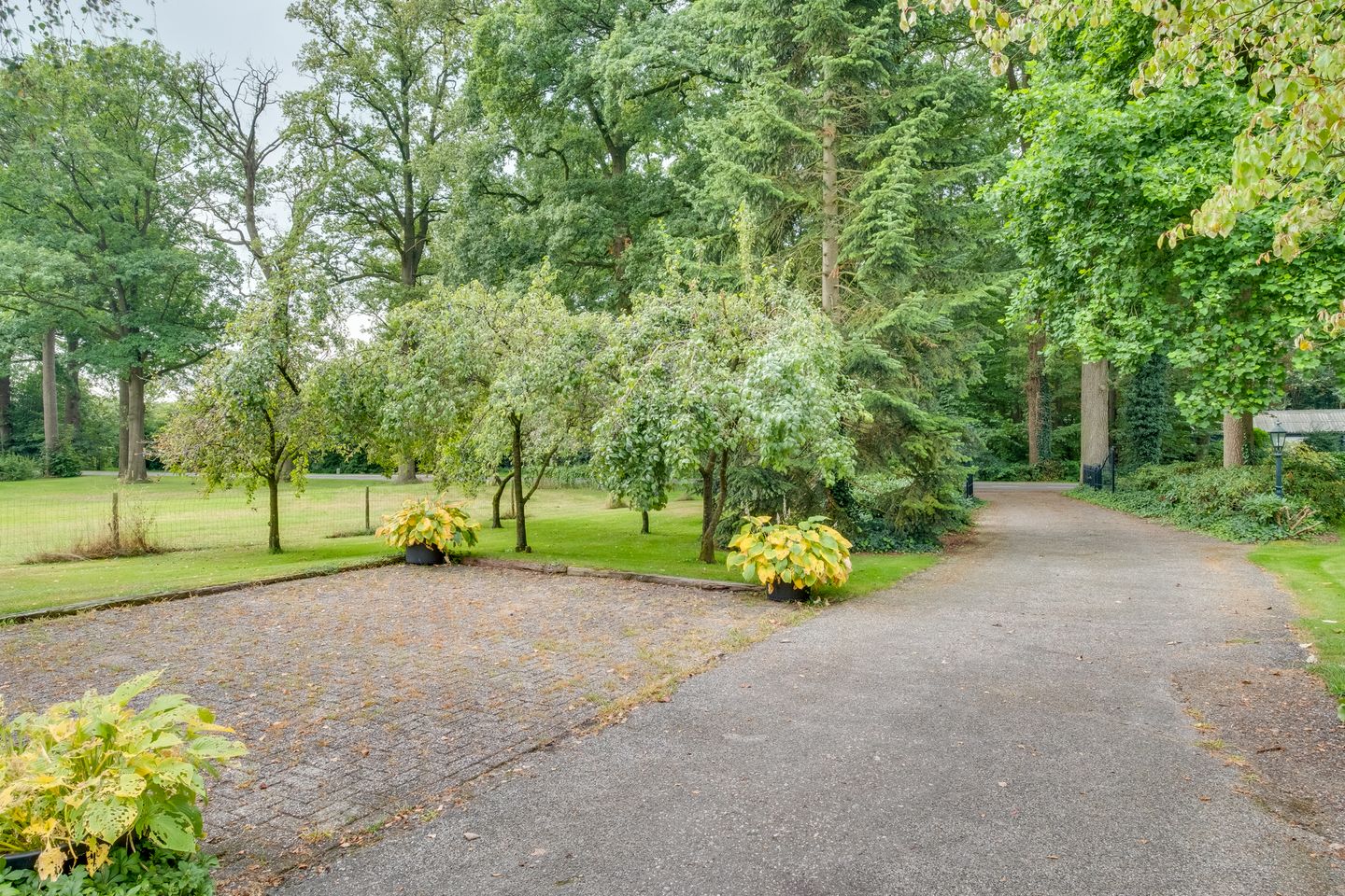 Foto 50 van Ooldselaan 14