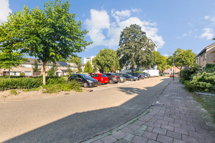 View photo 43 of Hermannistraat 24