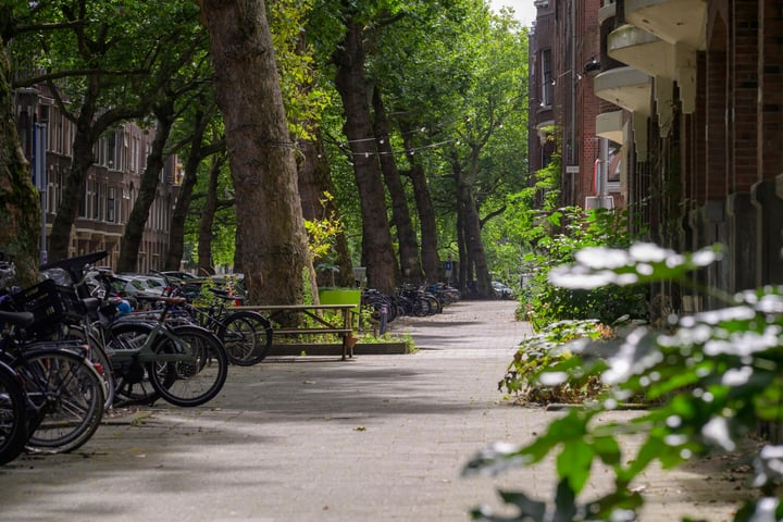 Bekijk foto 43 van Graaf Florisstraat 65-A