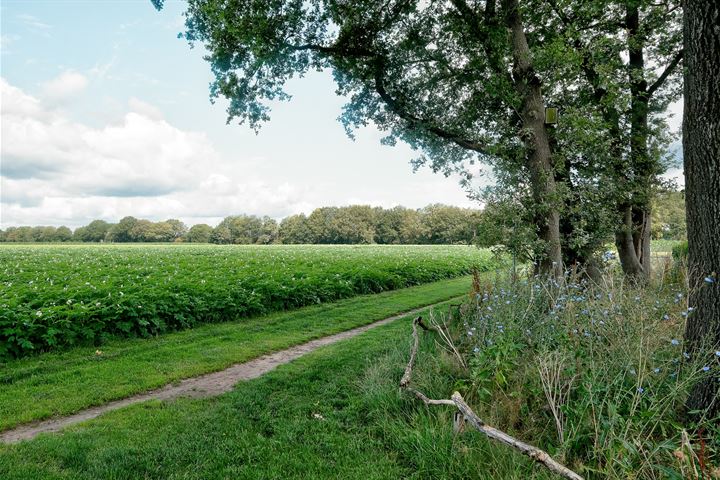 Bekijk foto 52 van Trompenweg 1