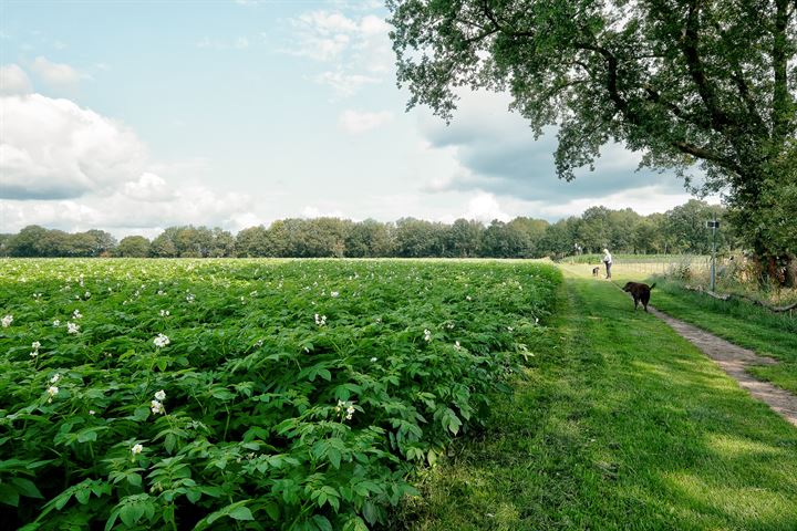 Bekijk foto 54 van Trompenweg 1