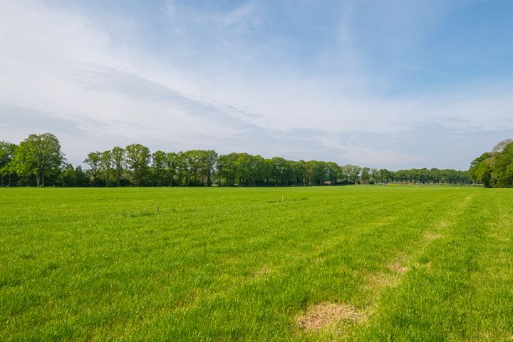 Bekijk foto 49 van Blekkinkhofweg 4