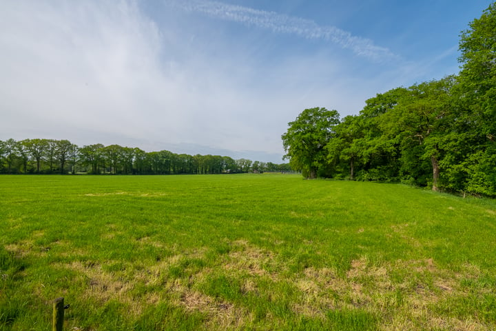 Bekijk foto 50 van Blekkinkhofweg 4