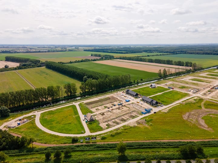 Foto 16 van Moerasorchidee 34