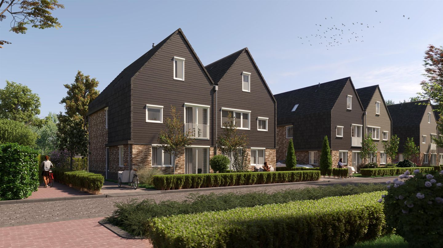 Foto 1 van Moerasorchidee 30