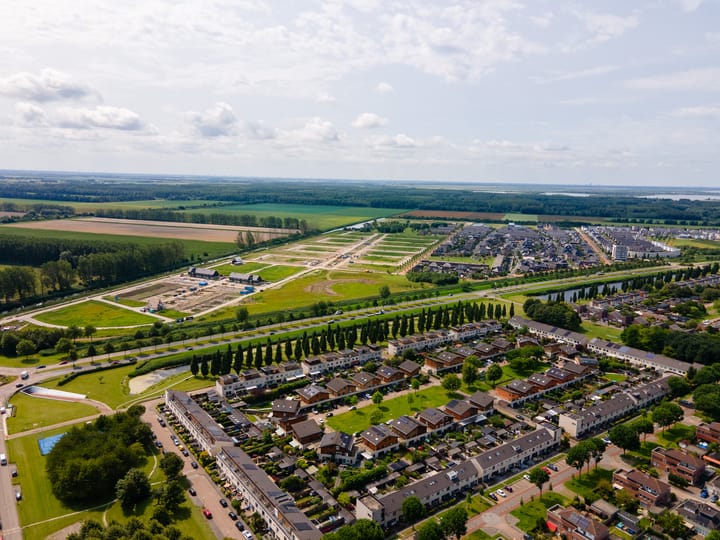 Foto 11 van Moerasorchidee 30