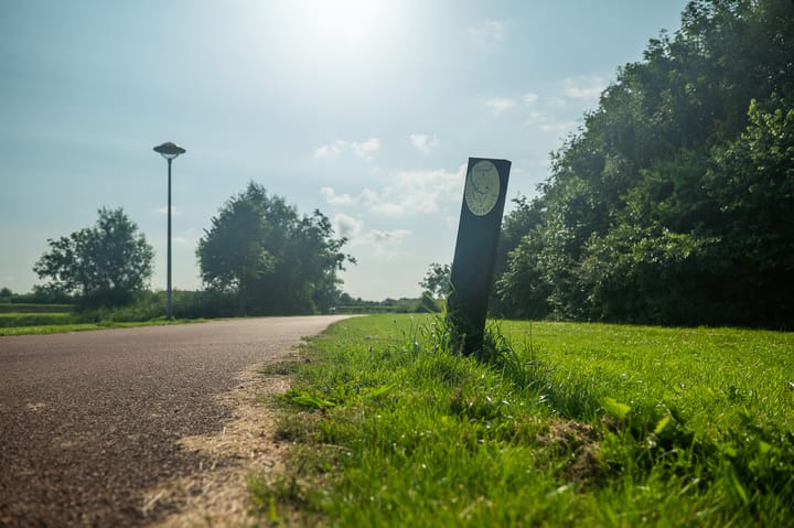 Foto 20 van Moerasorchidee 24