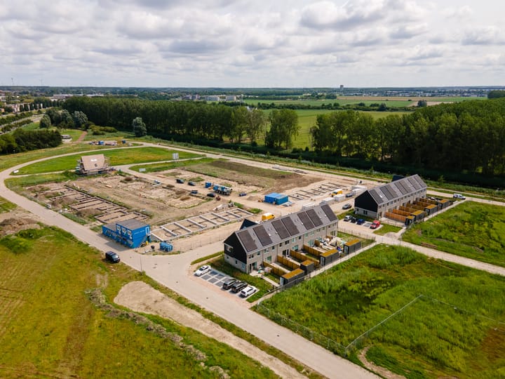 Foto 12 van Rietorchidee 19