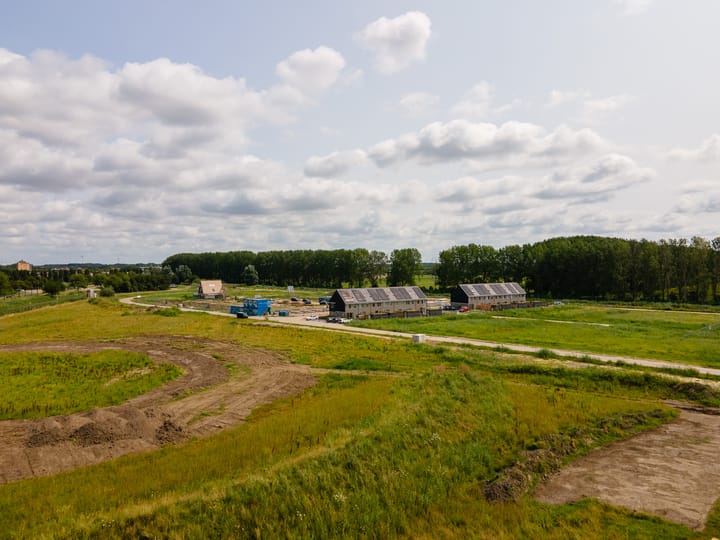 Photo 9 of Moerasorchidee 32