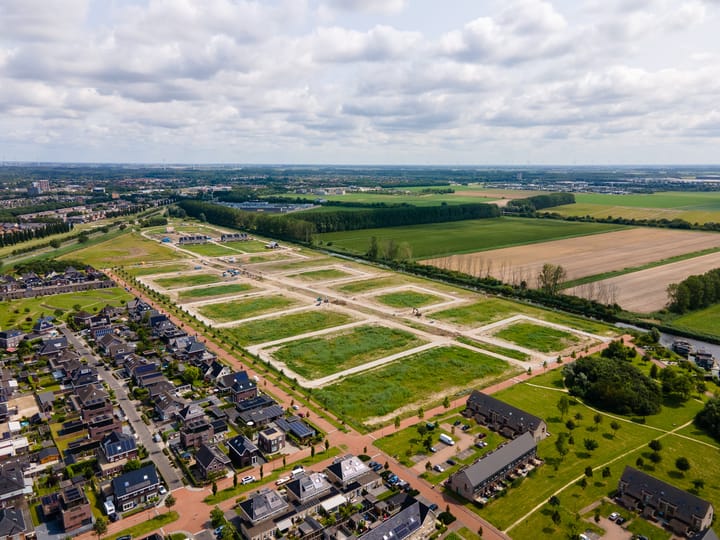 Photo 13 of Moerasorchidee 32