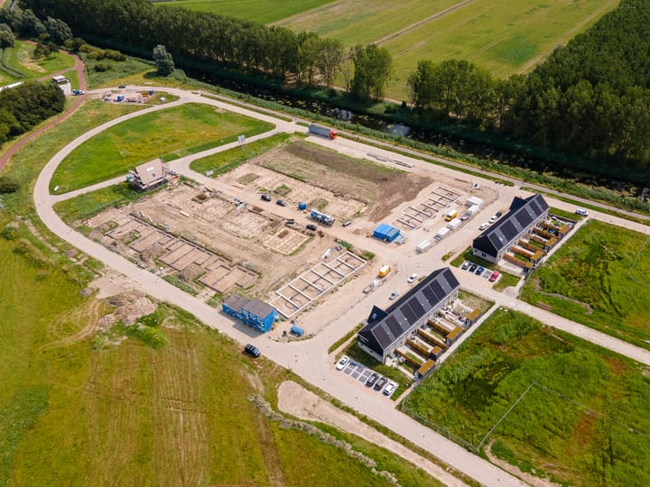 Photo 14 of Moerasorchidee 32