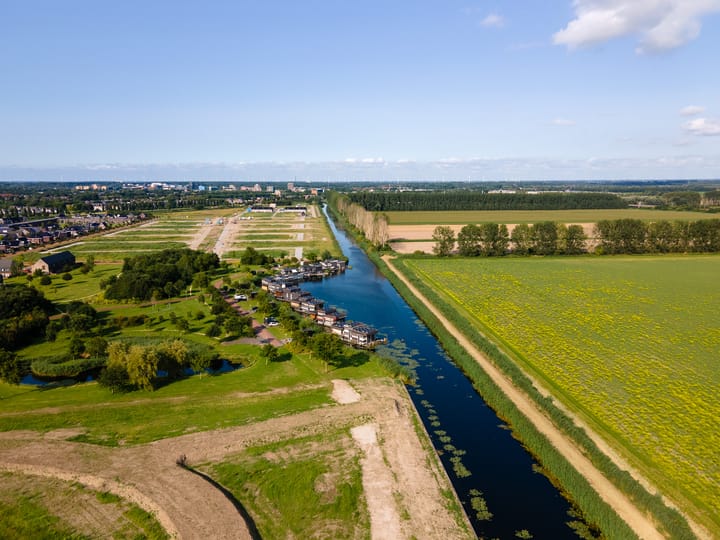 Photo 17 of Moerasorchidee 32