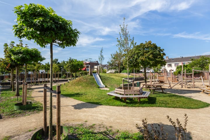 Foto 47 van Palmstraat 60