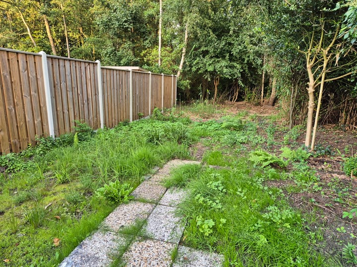 Foto 2 van Buitenplaats 93