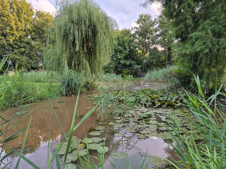 Foto 6 van Buitenplaats 93