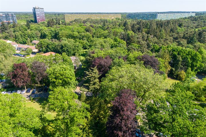 Bekijk foto 57 van Oude Arnhemseweg 369