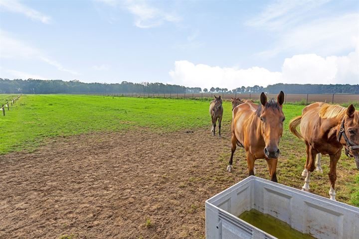 Bekijk foto 46 van Rozendaal 3