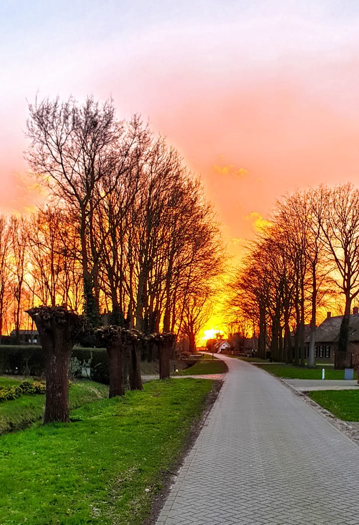 Photo 71 of Hoevenseweg 1-A