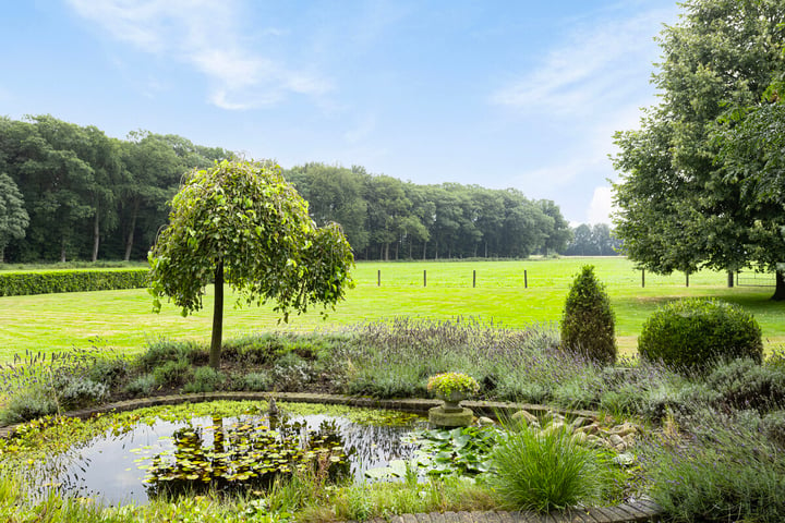 Bekijk foto 18 van Rossweg 4