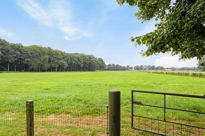 Foto 79 van Rossweg 4