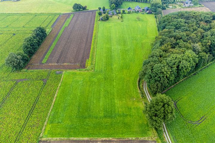 Bekijk foto 90 van Rossweg 4