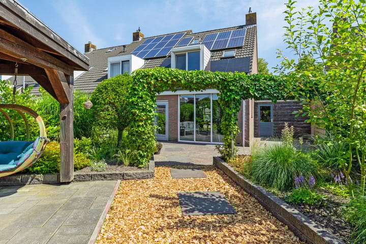 Foto 2 van Waterranonkel 25