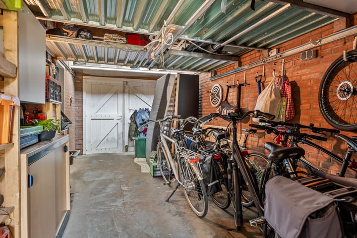 Foto 24 van Waterranonkel 25