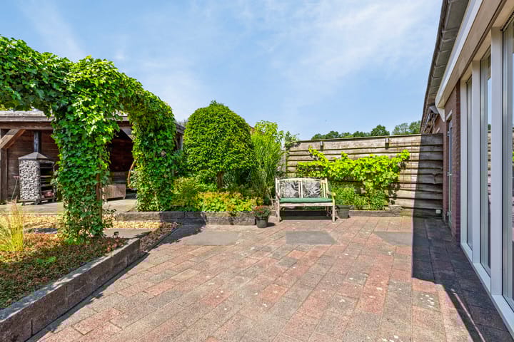 Foto 25 van Waterranonkel 25