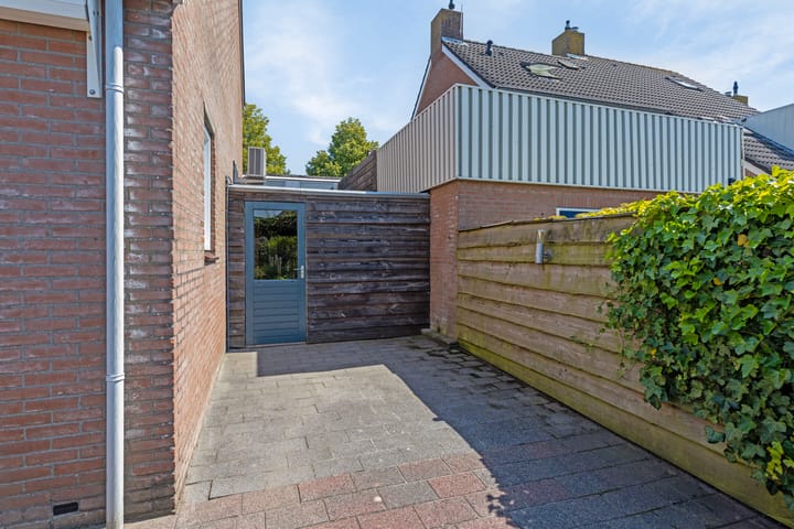 Foto 29 van Waterranonkel 25