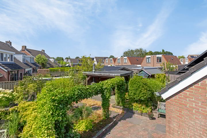 Foto 31 van Waterranonkel 25