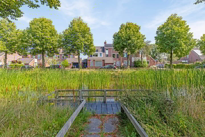 Foto 33 van Waterranonkel 25