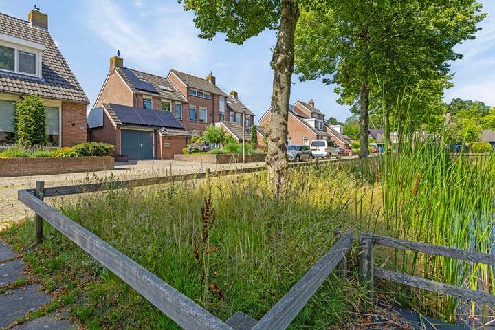 Foto 35 van Waterranonkel 25