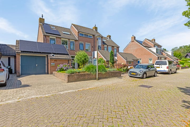 Foto 37 van Waterranonkel 25