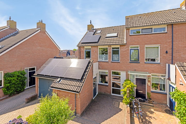 Foto 38 van Waterranonkel 25