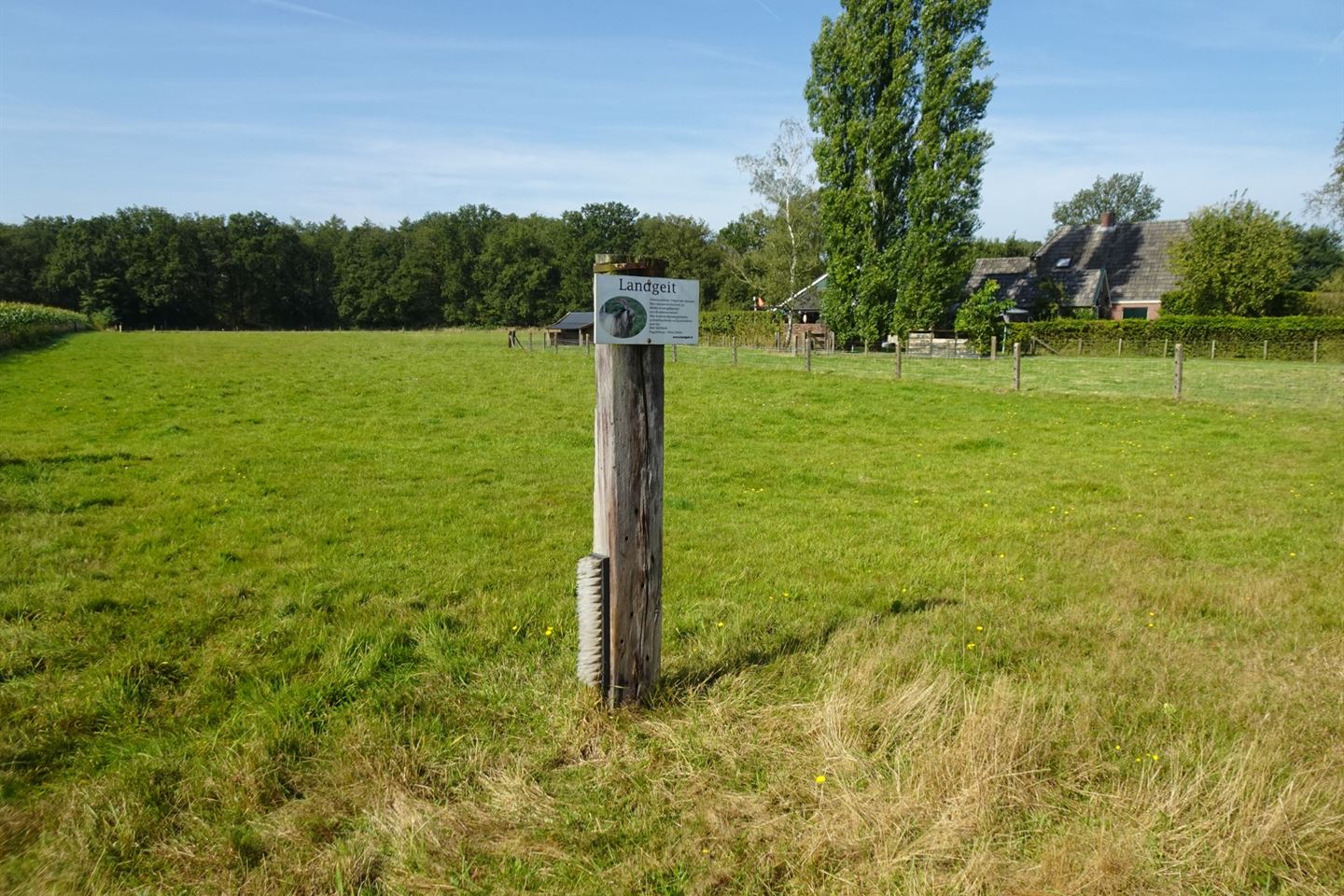 Bekijk foto 3 van Vagevuursweg 2 nabij