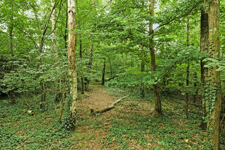 Bekijk foto 40 van Herikerweg 8