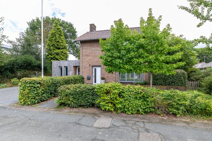 Bekijk foto 41 van Van Pallandtlaan 4