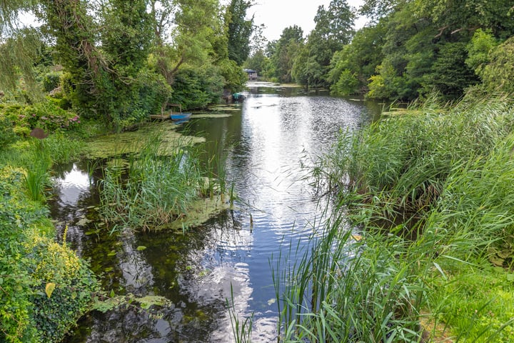 Bekijk foto 52 van Van Pallandtlaan 4