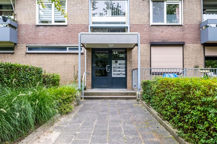 Bekijk foto 19 van Palmstraat 54