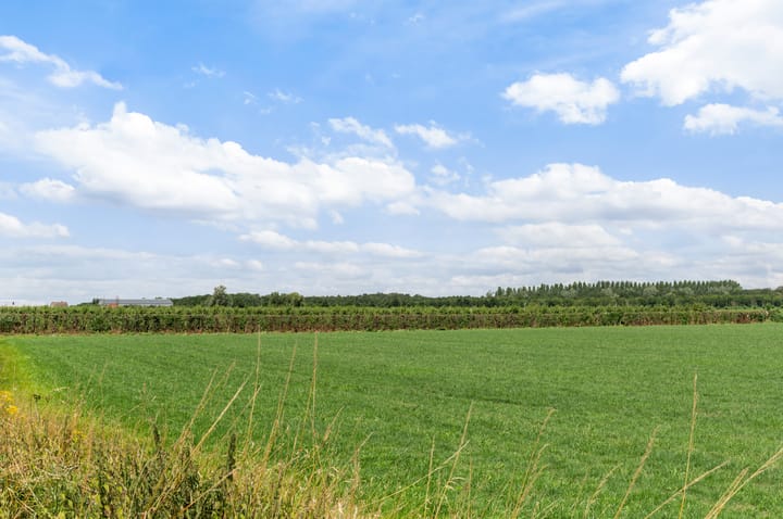 Foto 36 van Middelveld 56