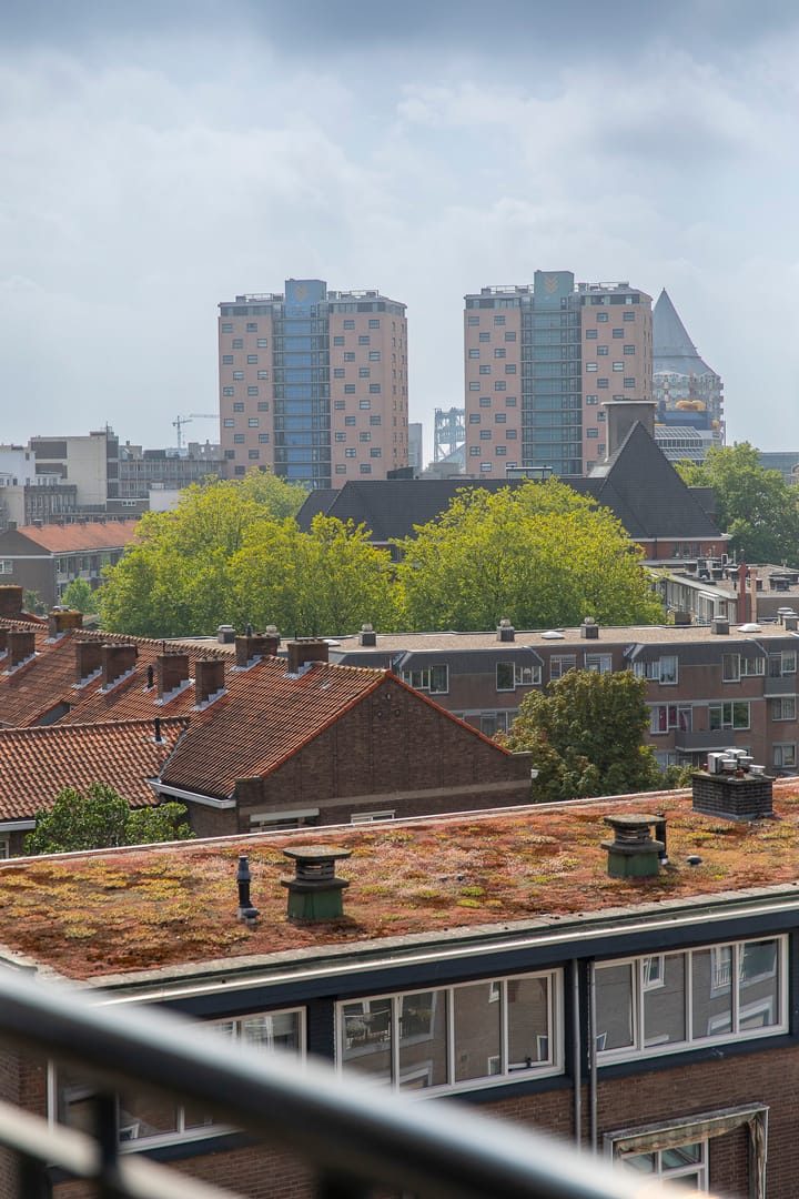 Foto 21 van Goudsesingel 424