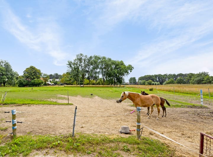 Foto 51 van Augustinusweg 17